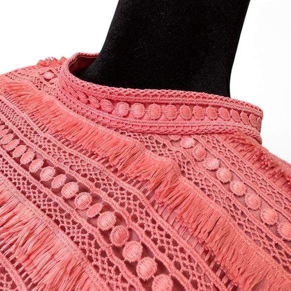 J. Crew Pink Embroidered Fringe Sheath Dress Summer Office Business Casual Sz 10 - Picture 8 of 14